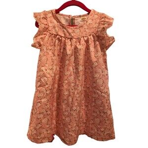 Toddler Girl's Dress Size 3T Ruffle Sleeve Floral round neck